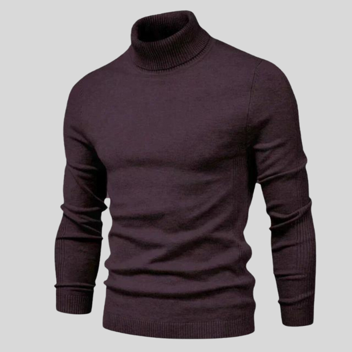 Ben™ | Fashionable roll neck jumper